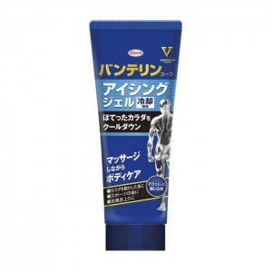 반테린코와 아이싱 젤 200g 냉각 젤